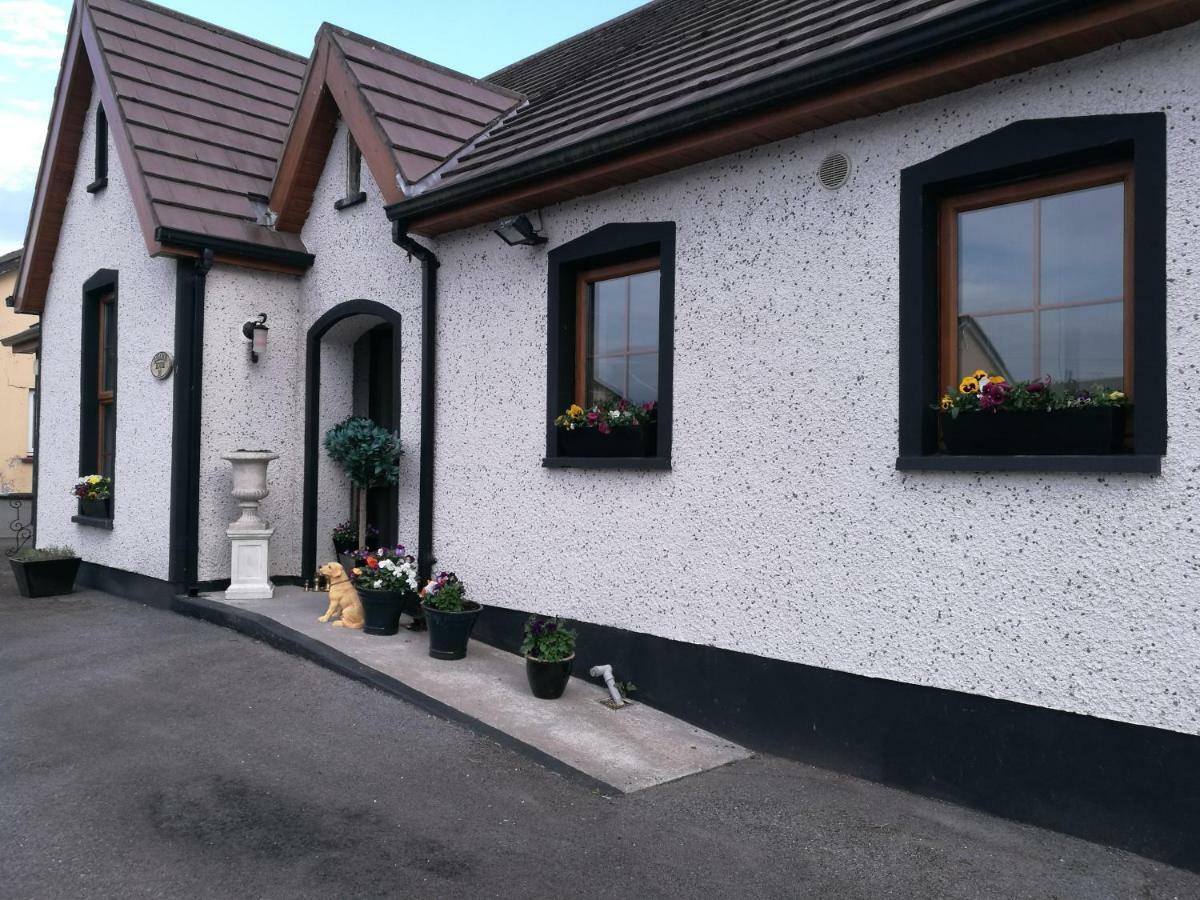Assaroe House Bed & Breakfast Ballyshannon Dış mekan fotoğraf